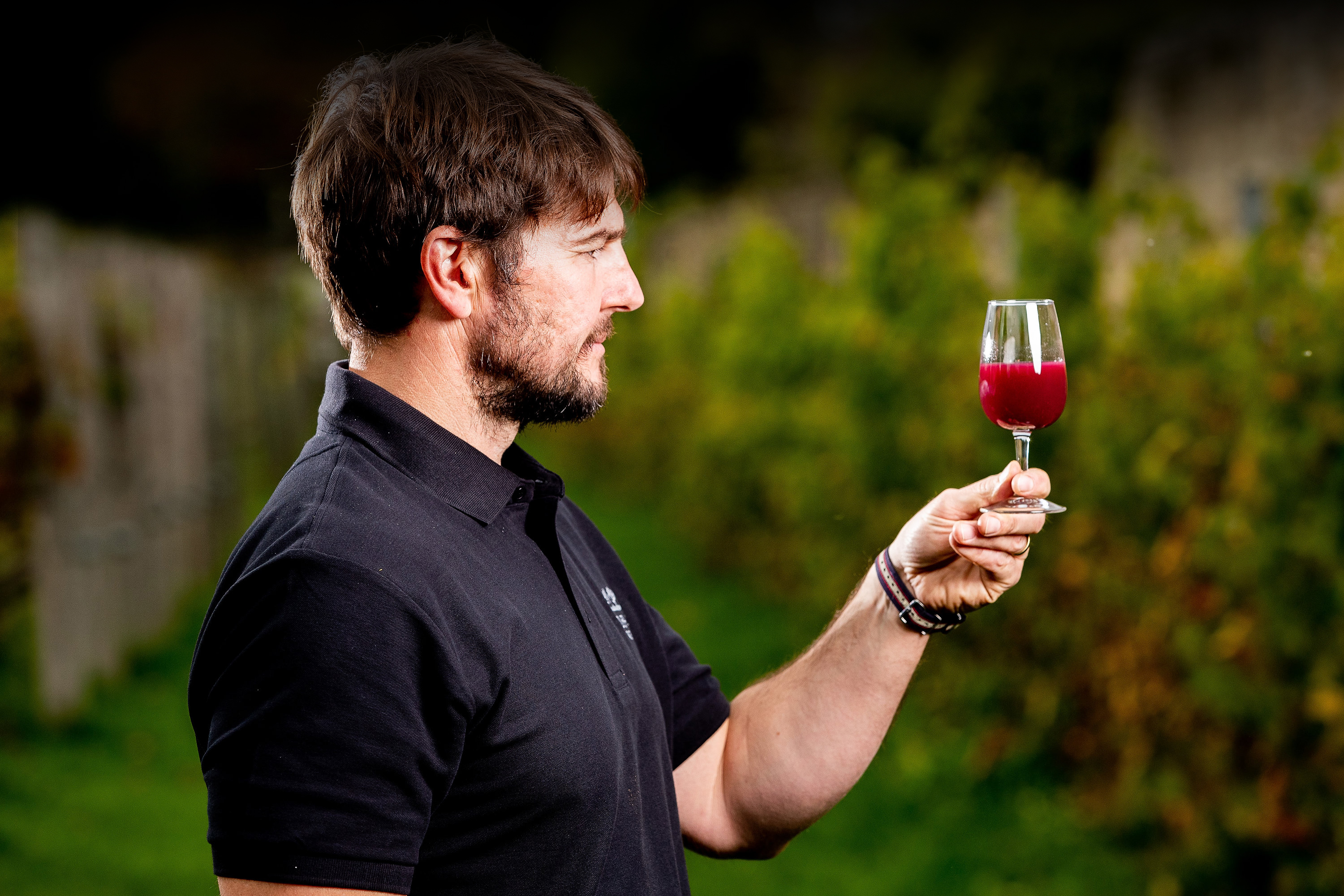 Vineyard Tours & Tastings