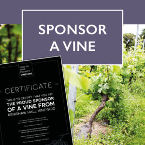 SPONSOR A VINE