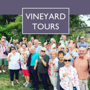 Vineyard Tours at Renishaw Hall
