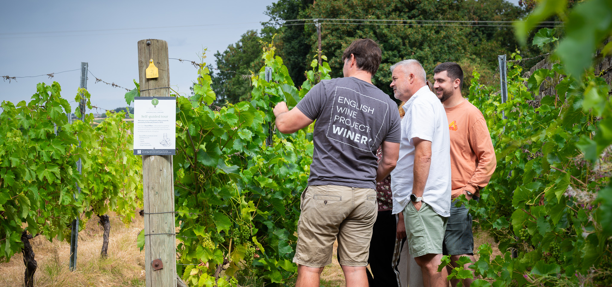 Vineyard Tours & Tastings
